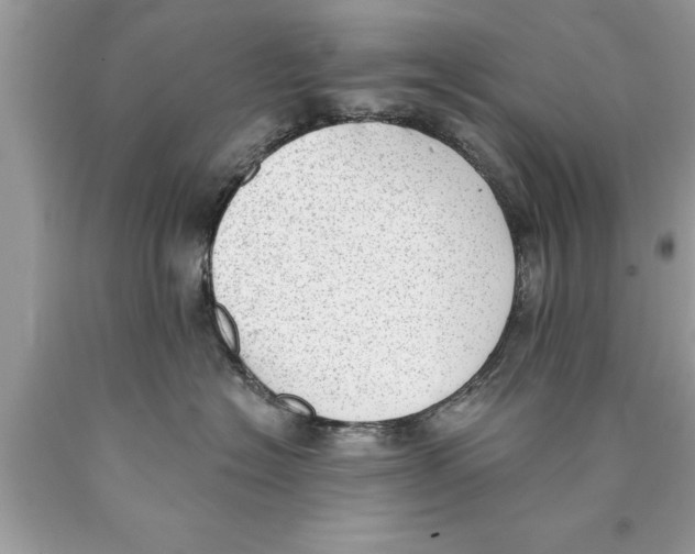 X0000089860574200707262130