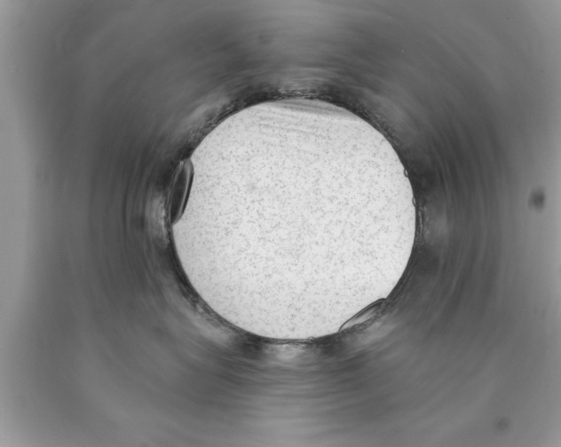 X0000089860575200707262130
