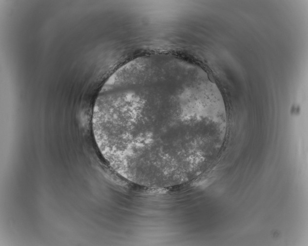 X0000089860576200707262130