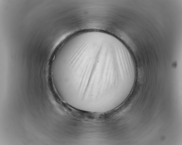 X0000089860580200707262130