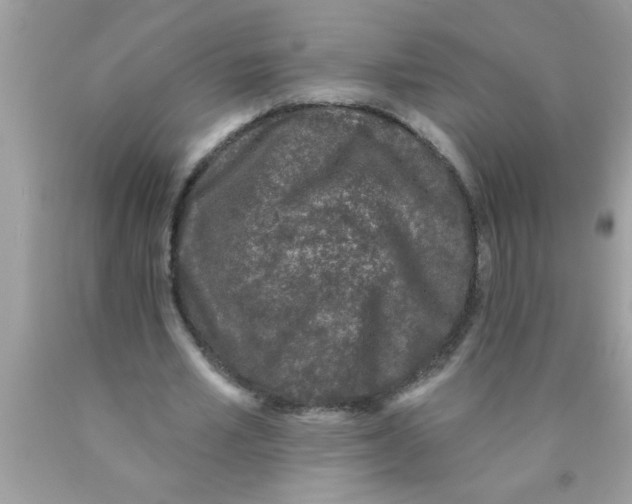 X0000089860581200707262130