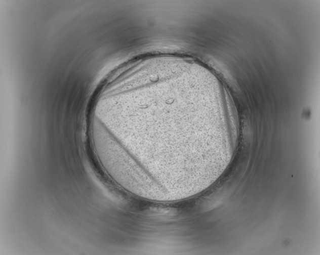 X0000089860582200707262130
