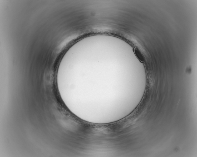 X0000089860583200707262130