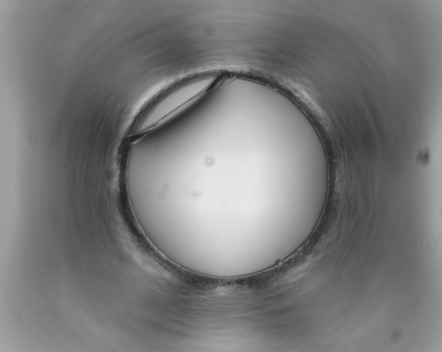X0000089860584200707262130