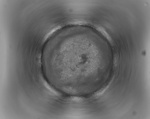 X0000089860585200707262130
