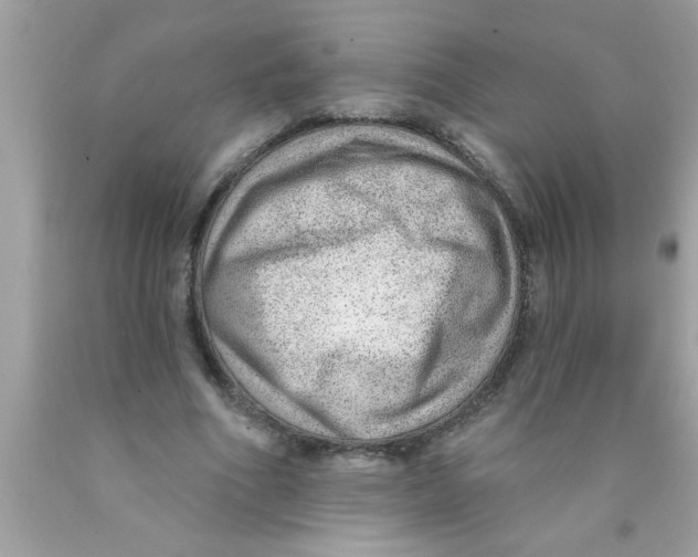 X0000089860586200707262129