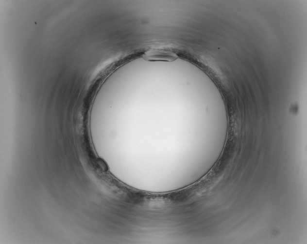 X0000089860587200707262129
