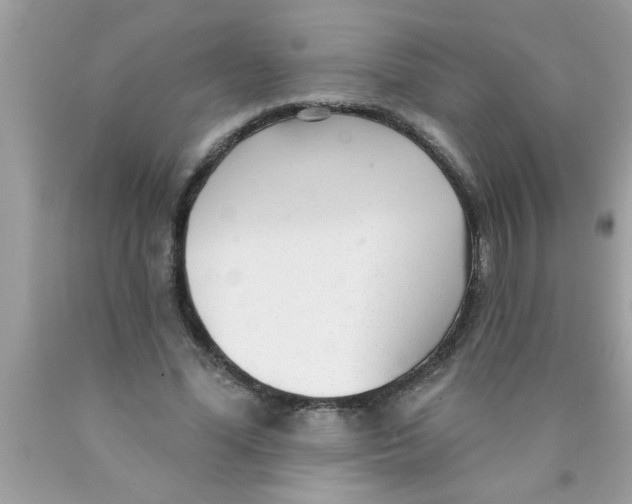 X0000089860588200707262129