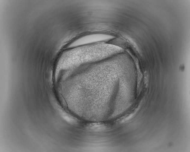 X0000089860589200707262129