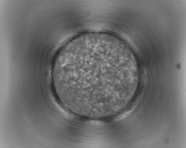 X0000089860590200707262129