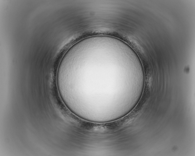 X0000089860591200707262129