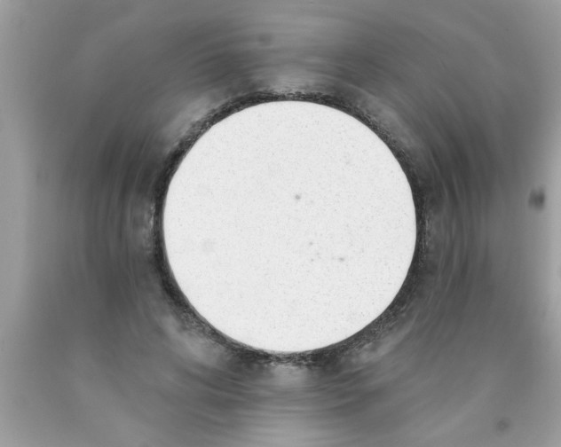 X0000089860592200707262129