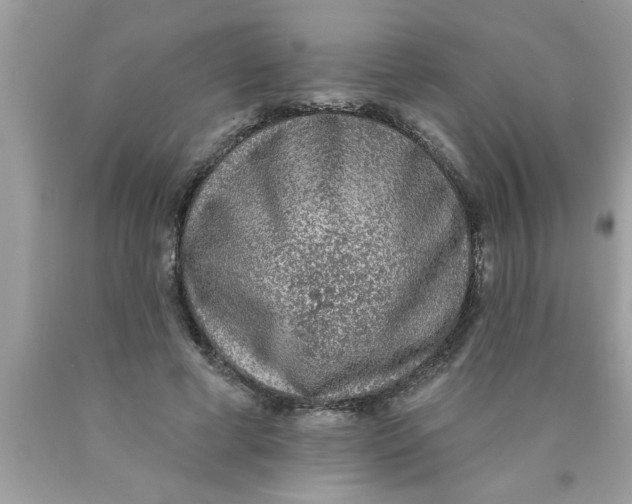 X0000089860593200707262129
