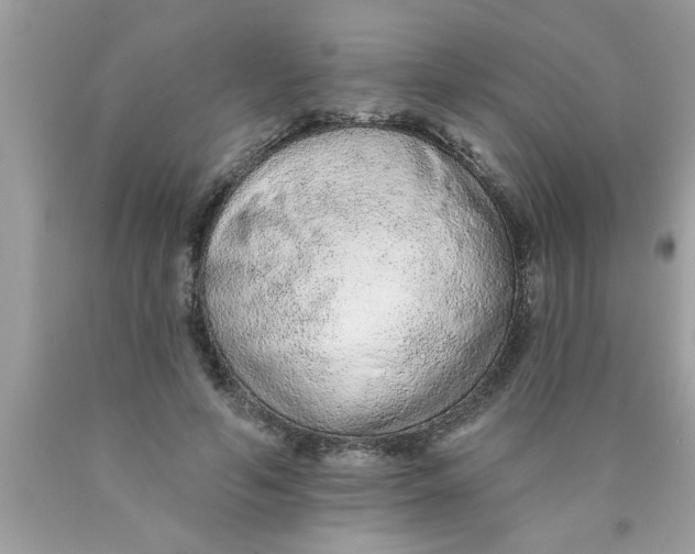 X0000089860594200707262129