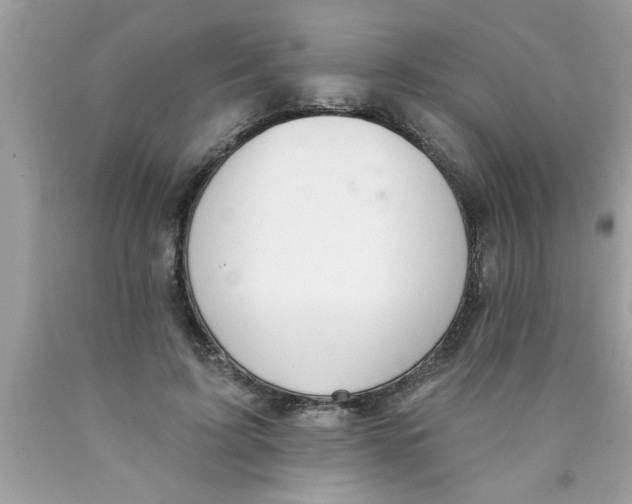 X0000089860595200707262129