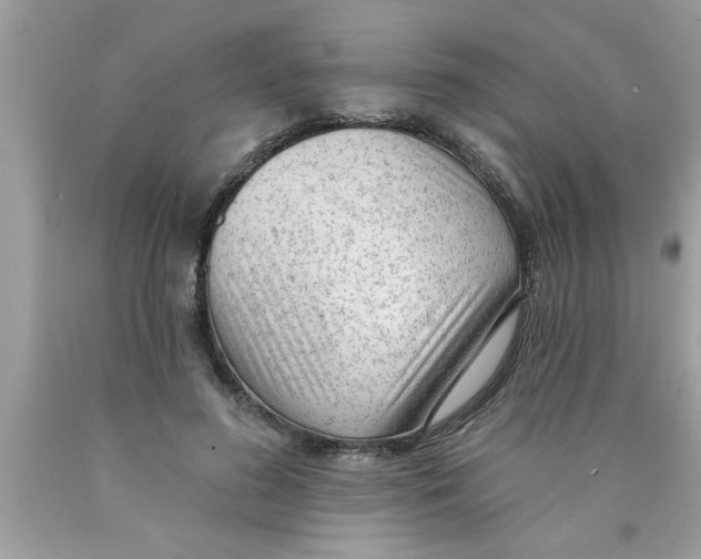 X0000089860596200707262129