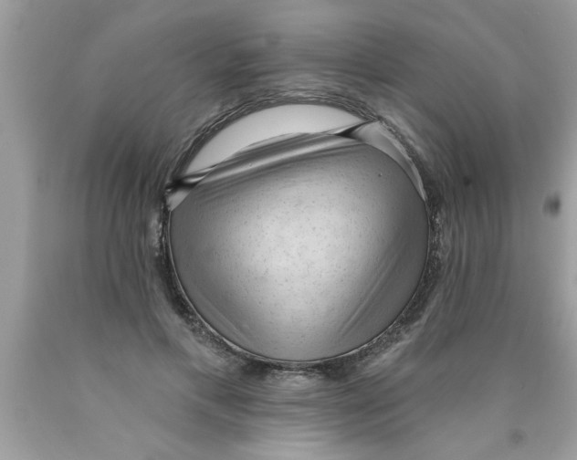 X0000089860597200707262129