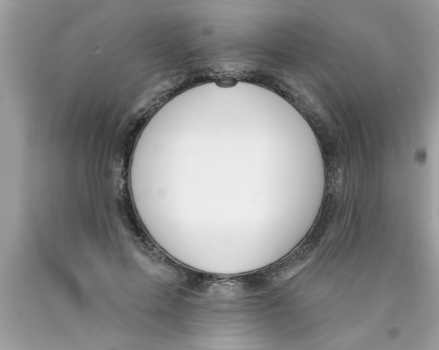X0000089860599200707262129