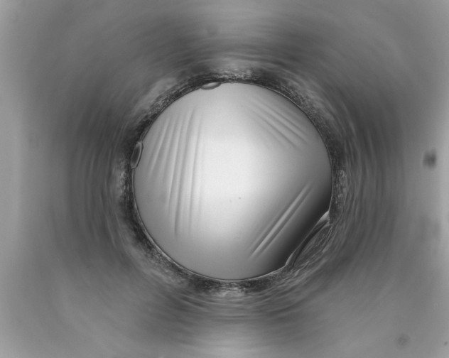 X0000089860600200707262129