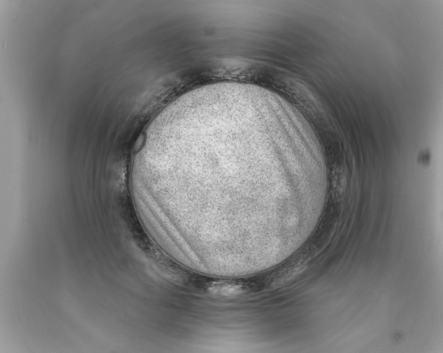 X0000089860602200707262129
