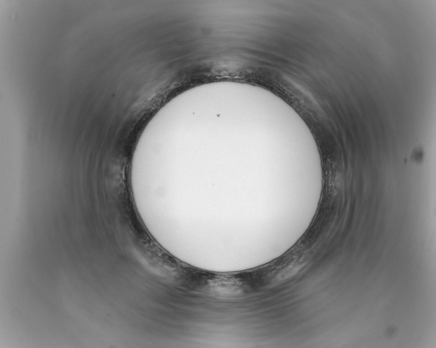 X0000089860603200707262129