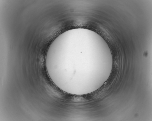 X0000089860605200707262129