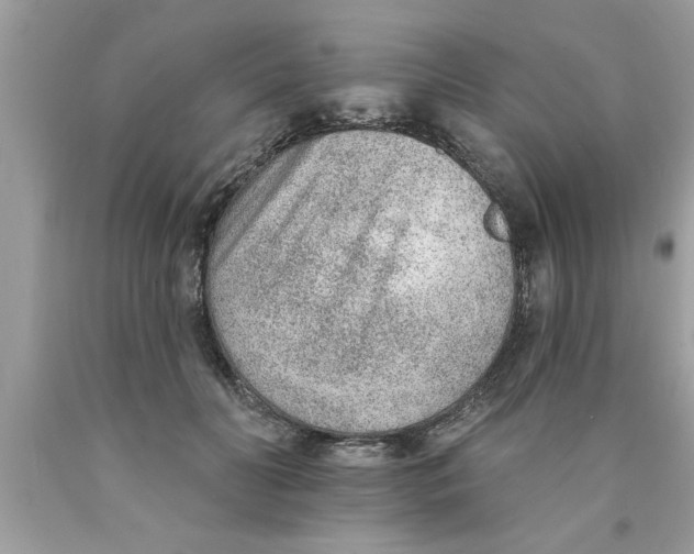 X0000089860606200707262129