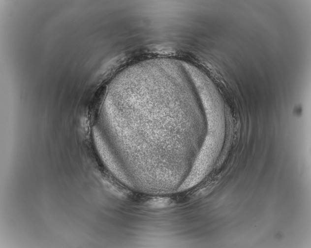 X0000089860609200707262129