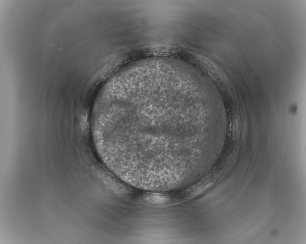 X0000089860610200707262129