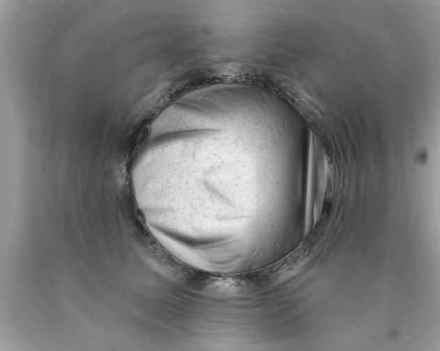 X0000089860611200707262129