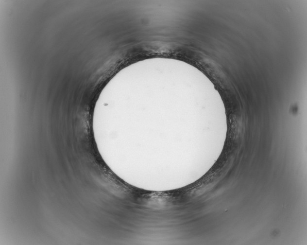 X0000089860612200707262129