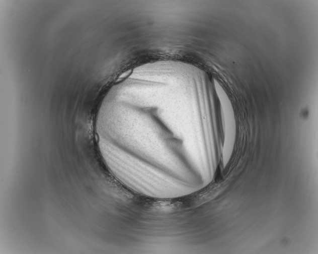 X0000089860613200707262129