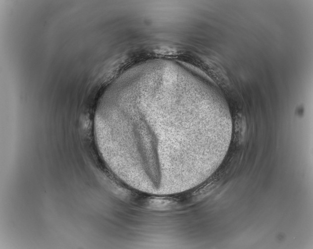X0000089860614200707262129