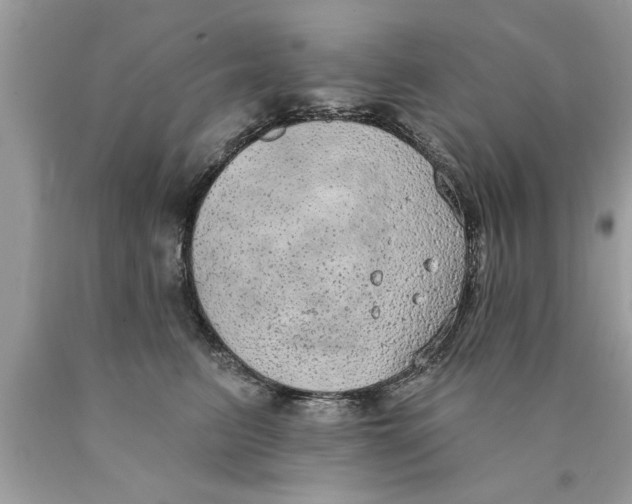 X0000089860615200707262129