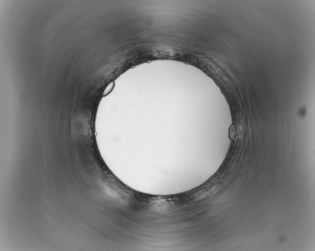 X0000089860616200707262129