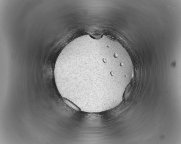 X0000089860617200707262129