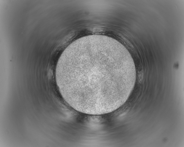 X0000089860618200707262129