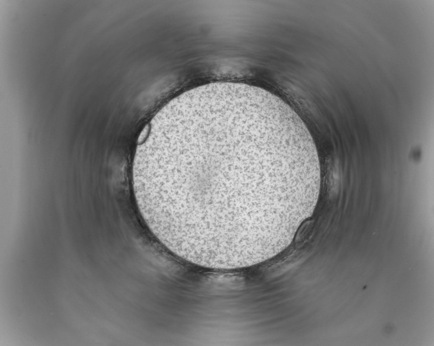 X0000089860619200707262129