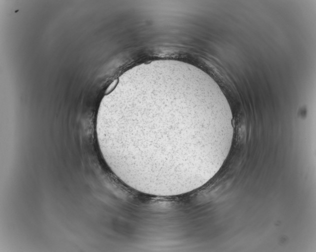 X0000089860620200707262129