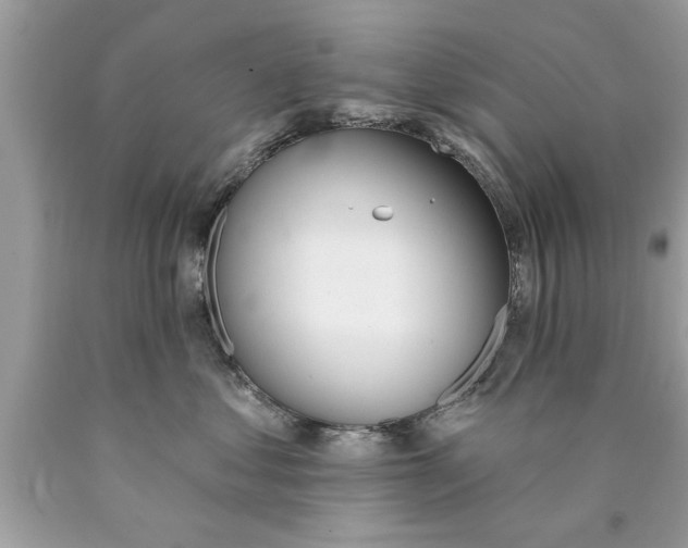 X0000089860621200707262129
