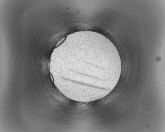 X0000089860624200707262129