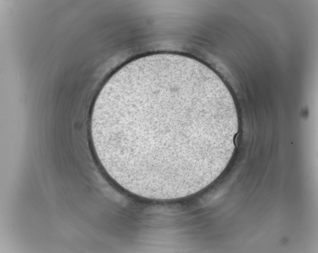 X0000089860625200707262128