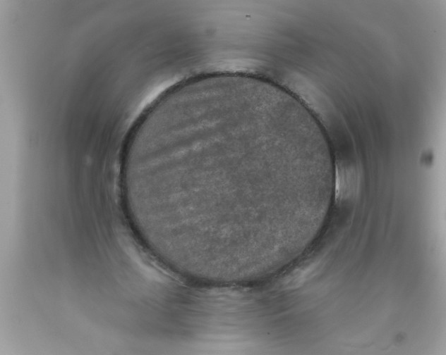X0000089860627200707262128