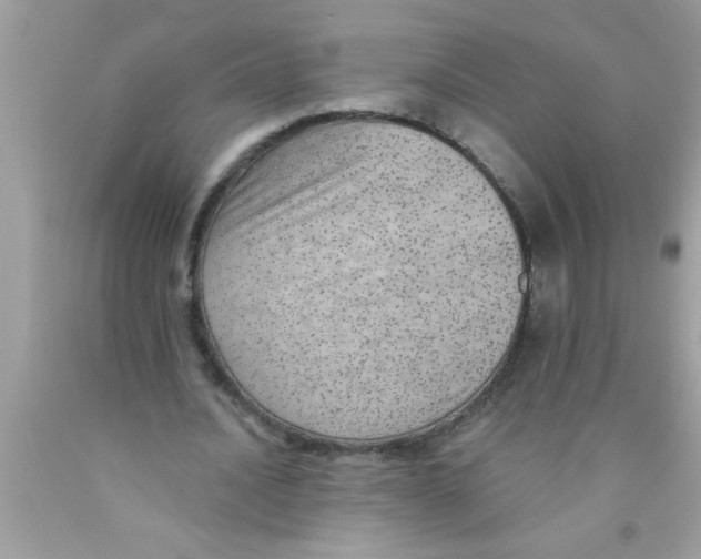 X0000089860628200707262128