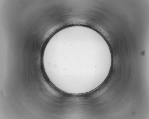 X0000089860629200707262128
