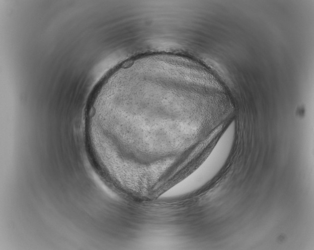 X0000089860630200707262128