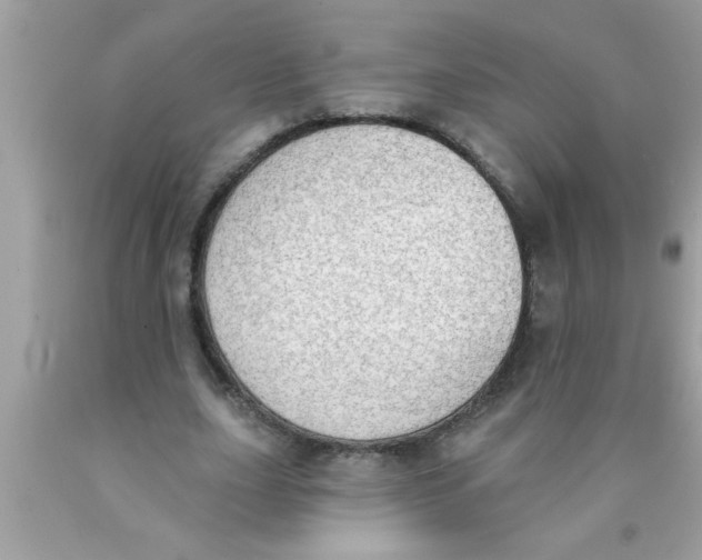 X0000089860631200707262128