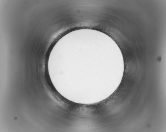 X0000089860632200707262128