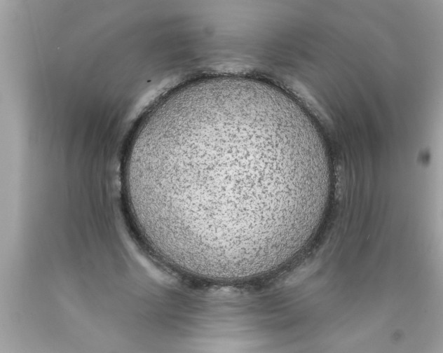 X0000089860634200707262128