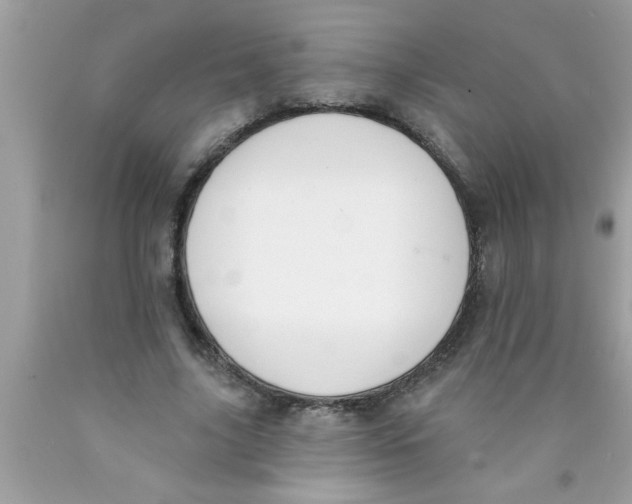 X0000089860635200707262128